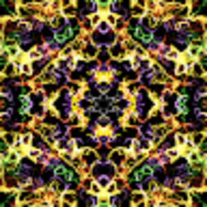 Meet your Posher, Izzy